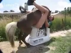 A rare movie scene in which a missionary is screwed by a stud using a horse